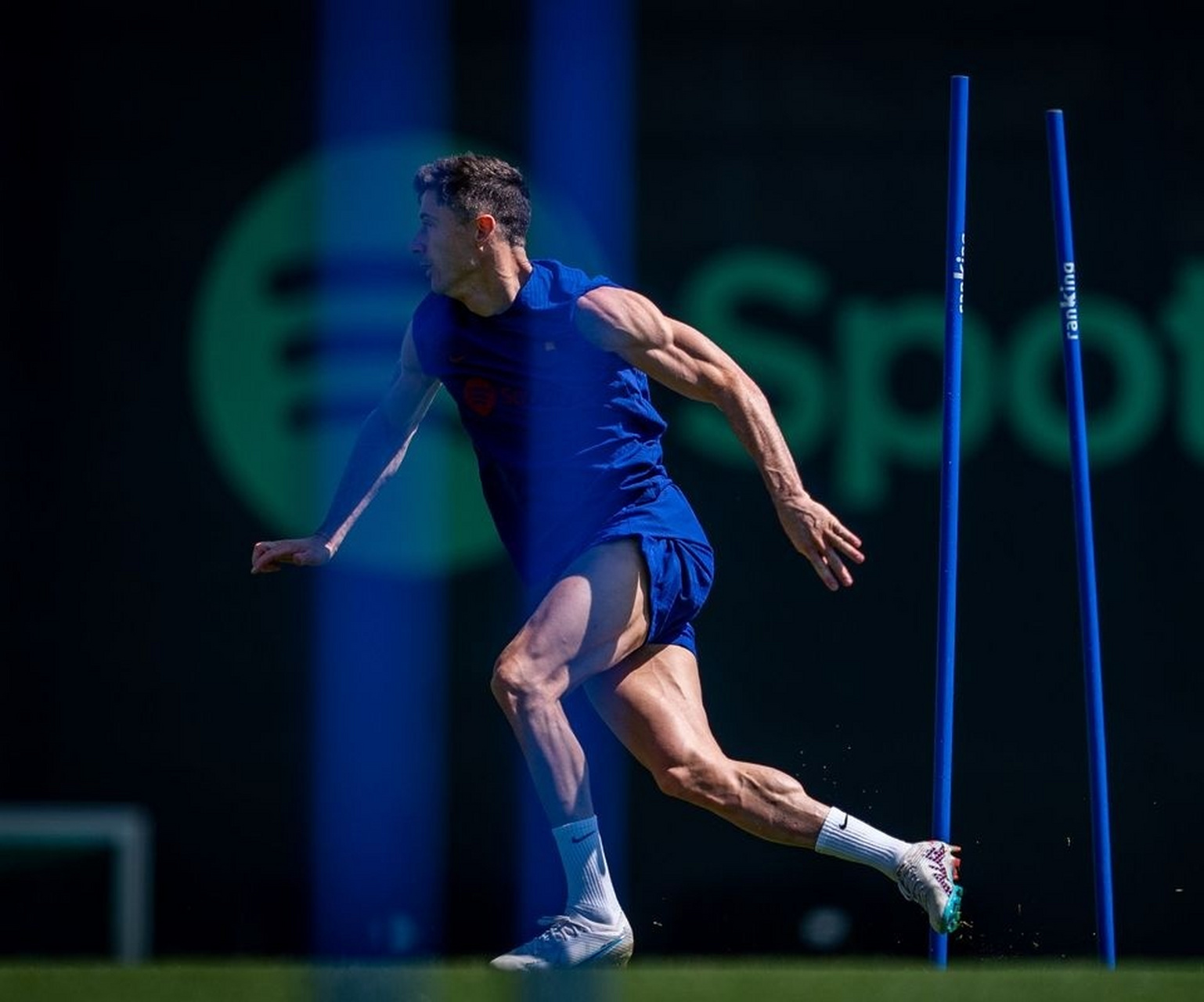 爱游戏- 莱万多夫斯基什么水平 